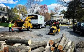 Best Arborist Consultation Services  in Fort Loramie, OH